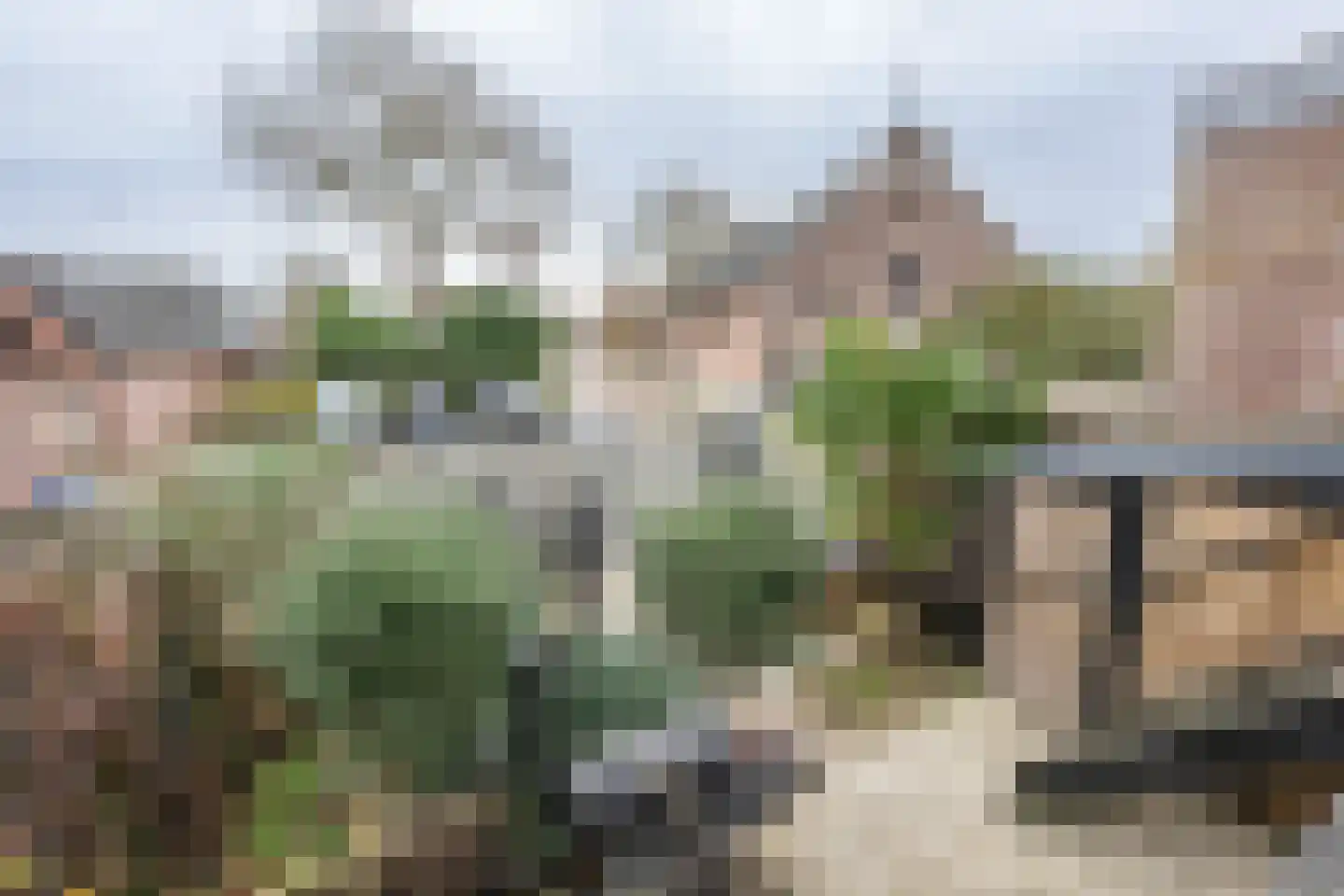 Achterdijk 51 Stad aan 't Haringvliet thumbnail 26
