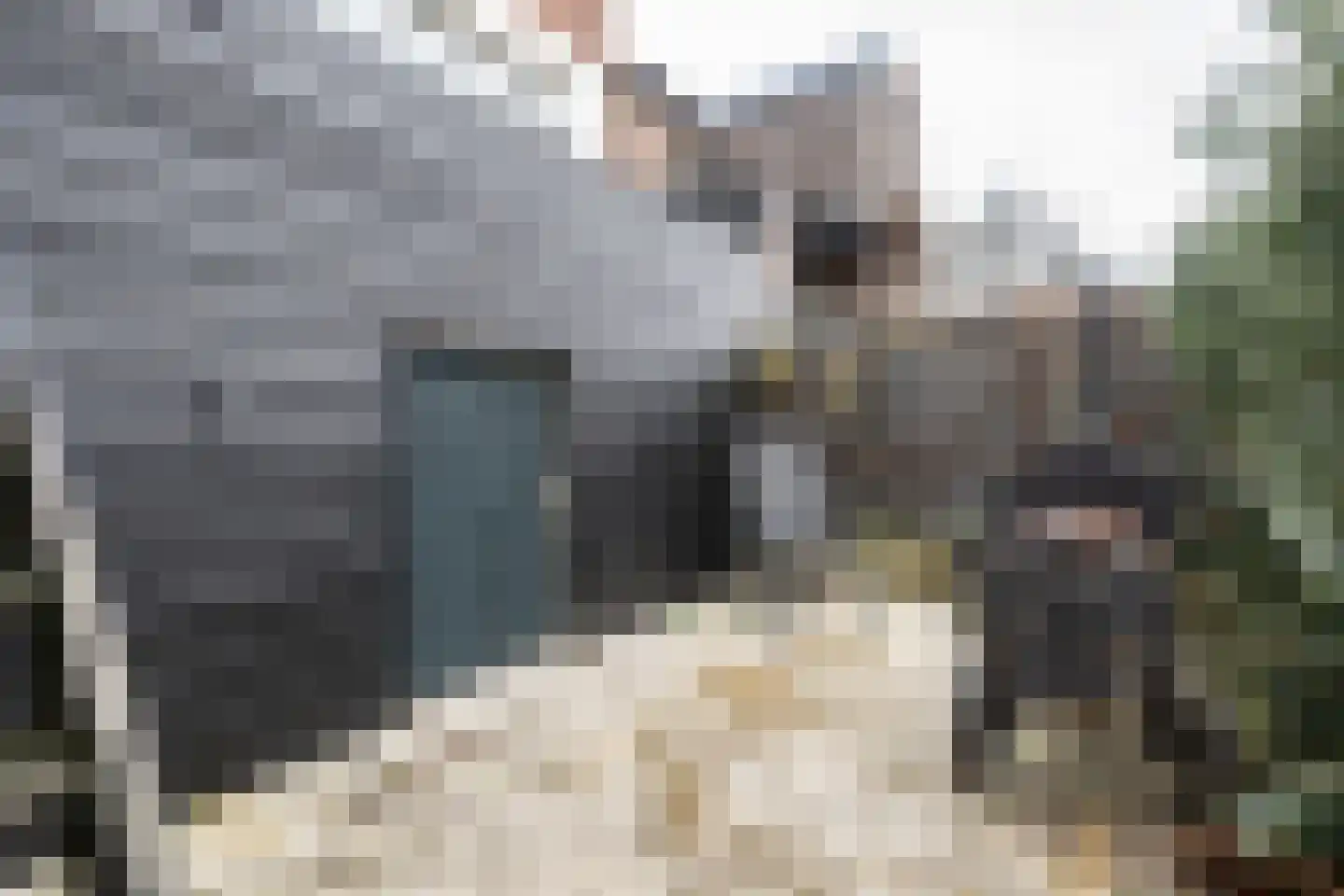 Achterdijk 51 Stad aan 't Haringvliet thumbnail 27