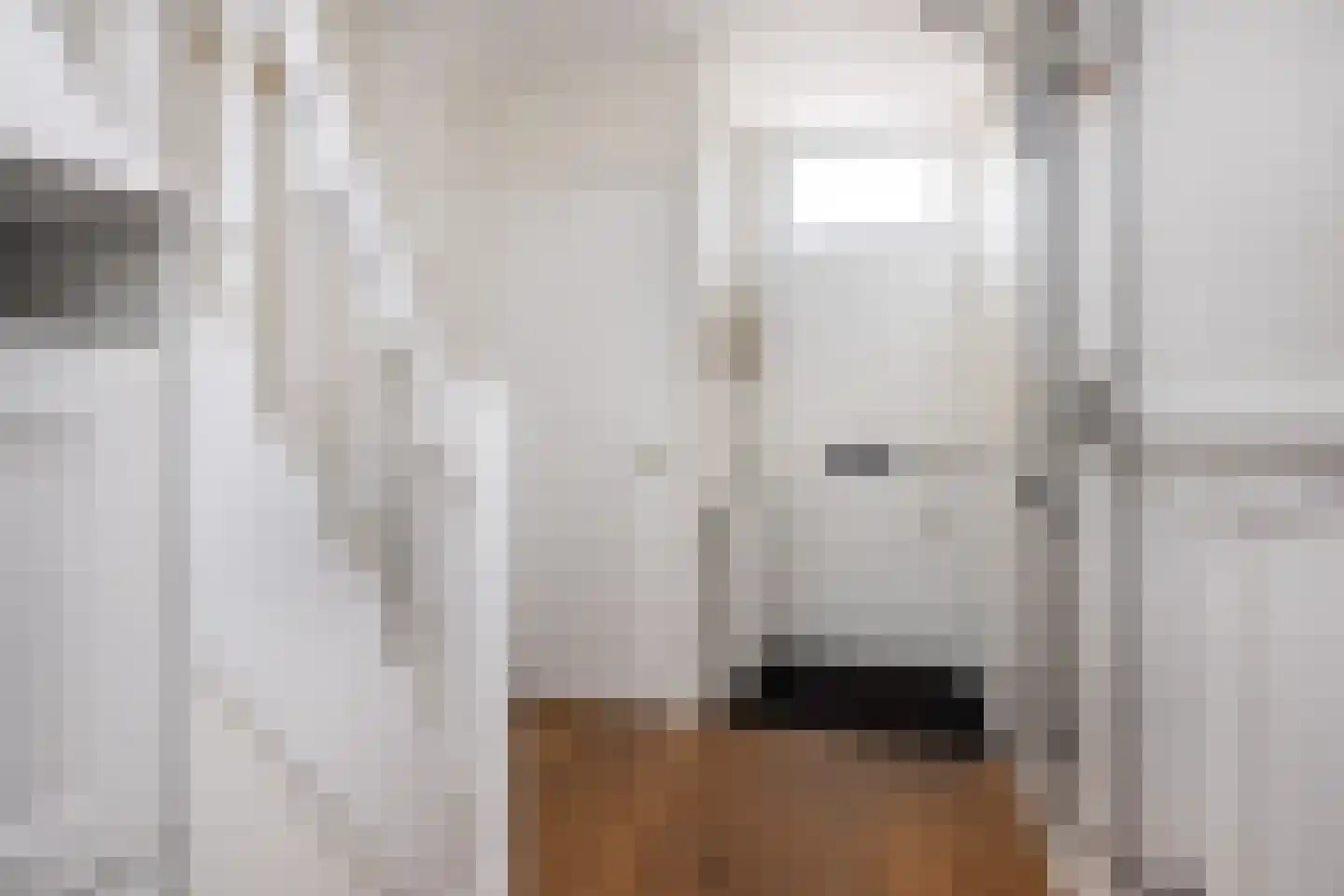 Achterdijk 51 Stad aan 't Haringvliet thumbnail 4