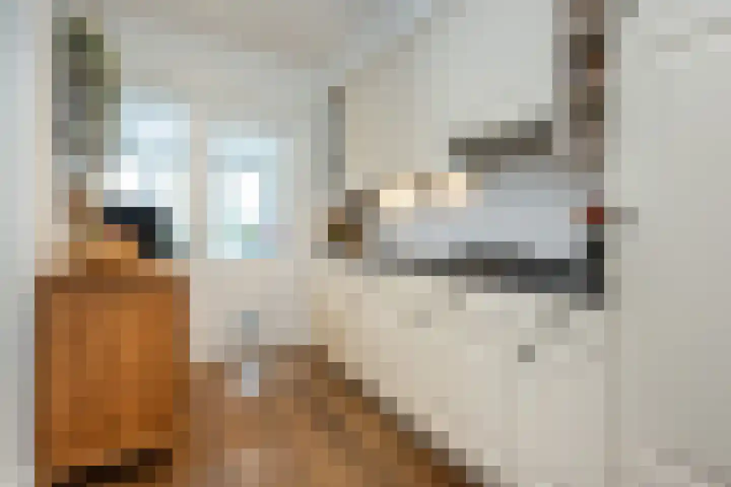 Achterdijk 51 Stad aan 't Haringvliet thumbnail 6