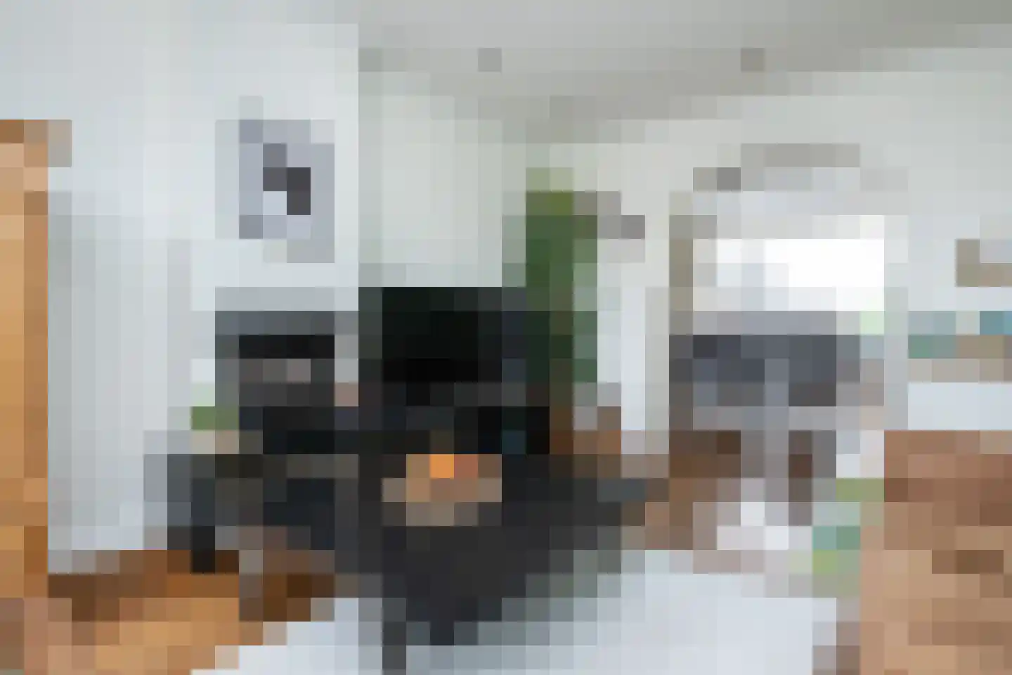 Achterdijk 51 Stad aan 't Haringvliet thumbnail 7