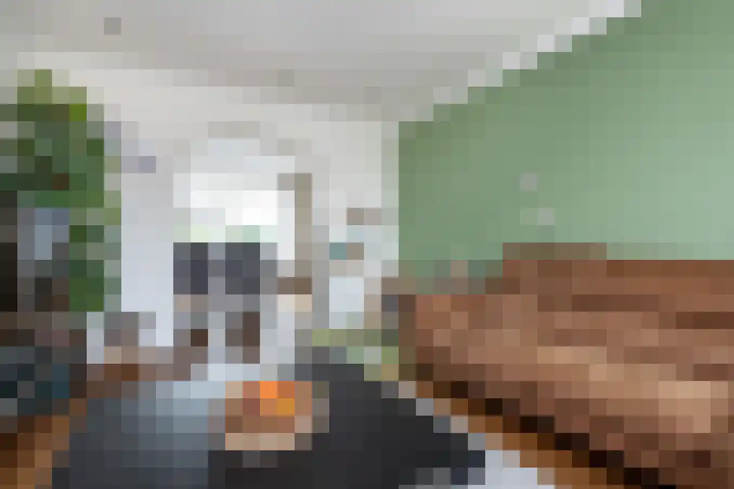 Achterdijk 51 Stad aan 't Haringvliet thumbnail 7
