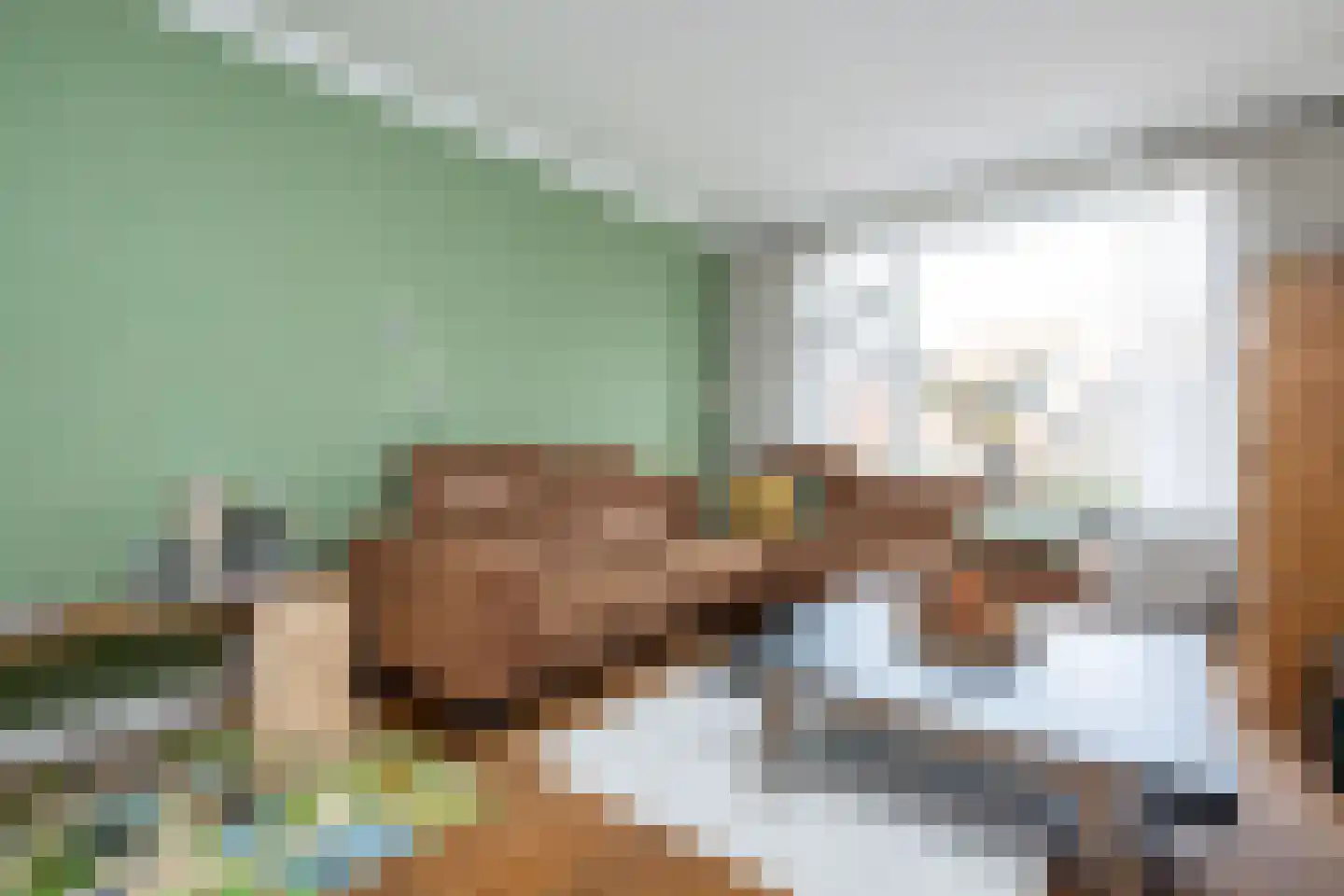 Achterdijk 51 Stad aan 't Haringvliet thumbnail 8