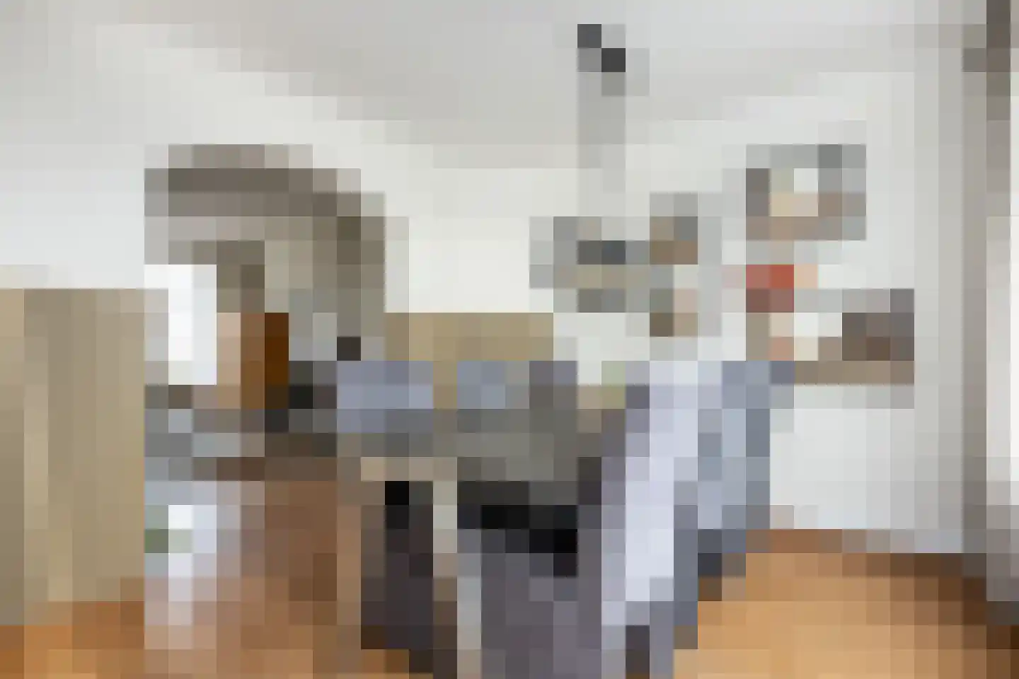 Achterdijk 51 Stad aan 't Haringvliet thumbnail 9