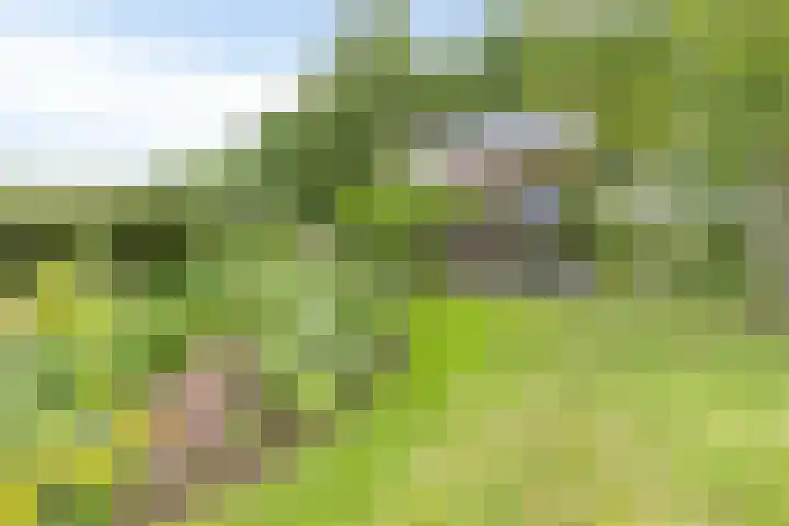 Achterdijk 51 Zevenbergen thumbnail 30