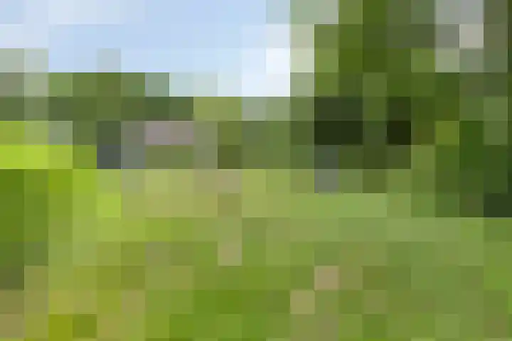 Achterdijk 51 Zevenbergen thumbnail 32