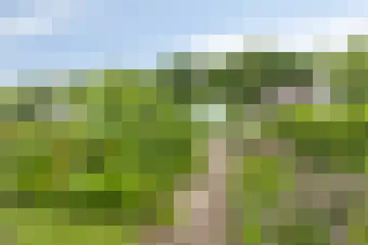 Achterdijk 51 Zevenbergen thumbnail 34
