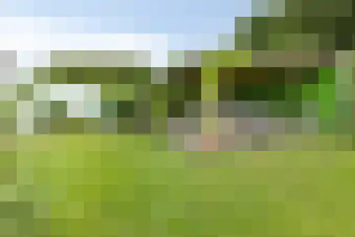 Achterdijk 51 Zevenbergen thumbnail 36