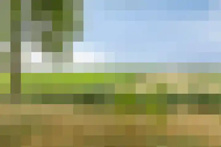 Achterdijk 51 Zevenbergen thumbnail 44