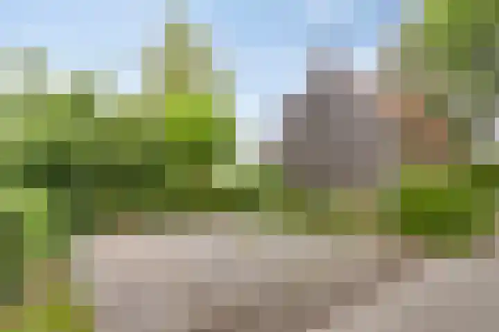 Achterdijk 51 Zevenbergen thumbnail 45