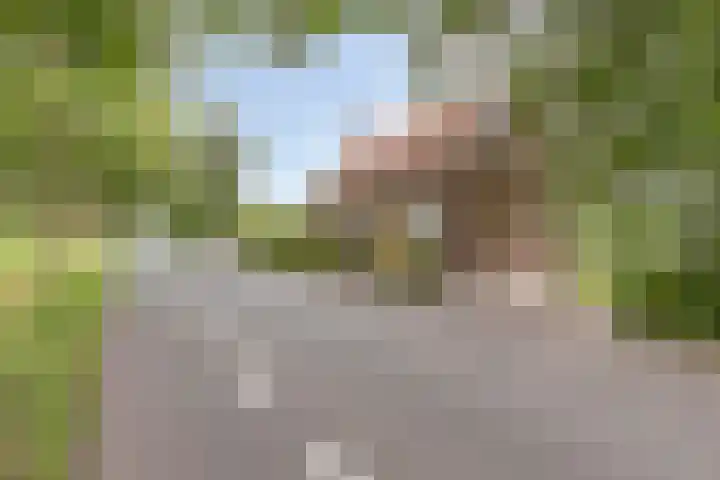 Achterdijk 51 Zevenbergen thumbnail 52