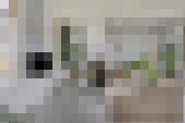 Achterdijk 51 Zevenbergen thumbnail 6