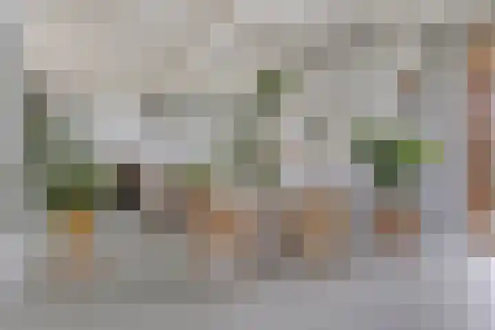 Achterdijk 51 Zevenbergen thumbnail 8