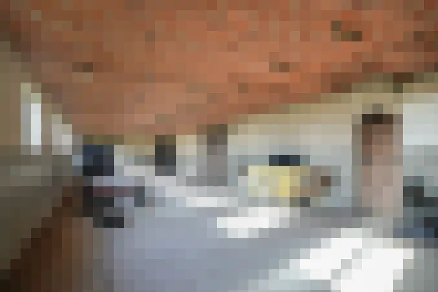 Achterdijk 6 Rossum thumbnail 21