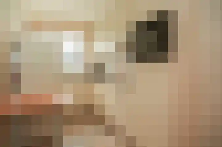 Achterdijk 6 Rossum thumbnail 34