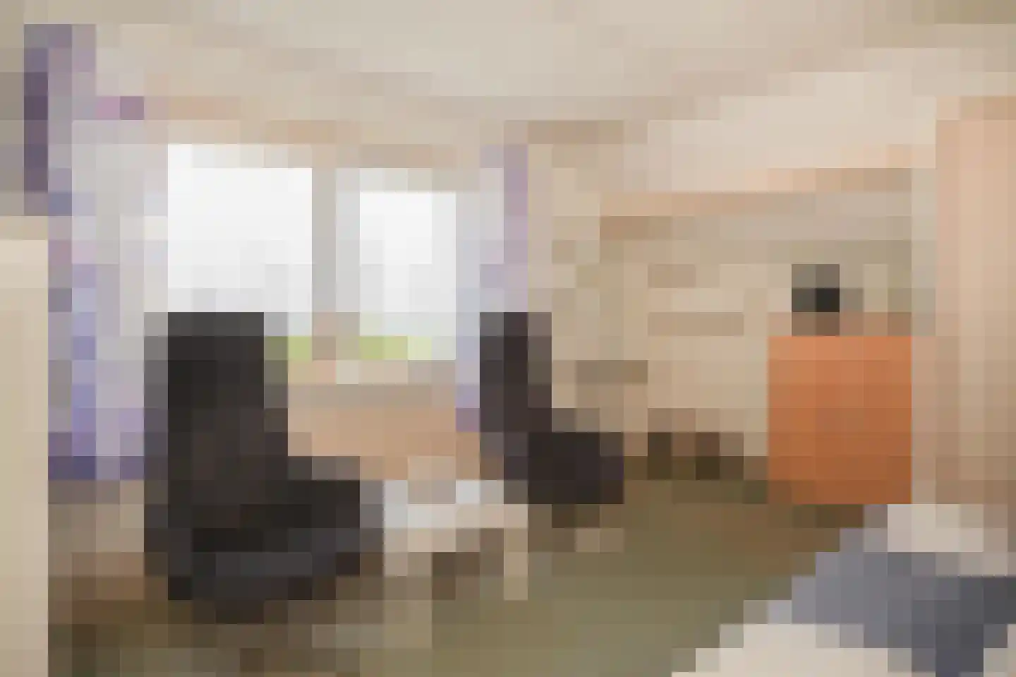 Achterdijk 6 Rossum thumbnail 39