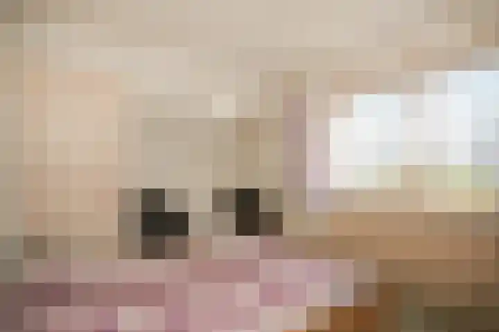 Achterdijk 6 Rossum thumbnail 43