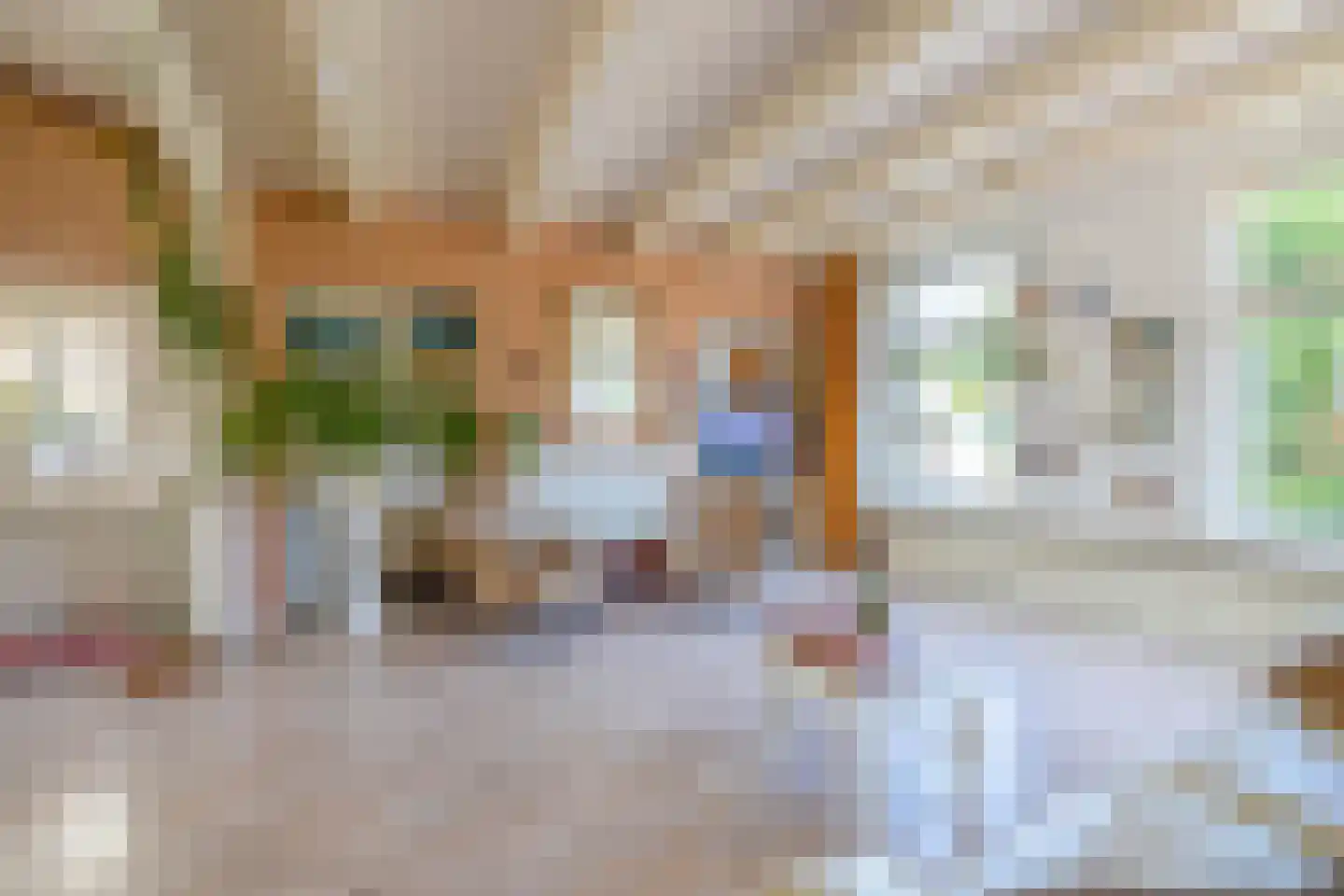 Achterdijk 7 Stad aan 't Haringvliet thumbnail 11