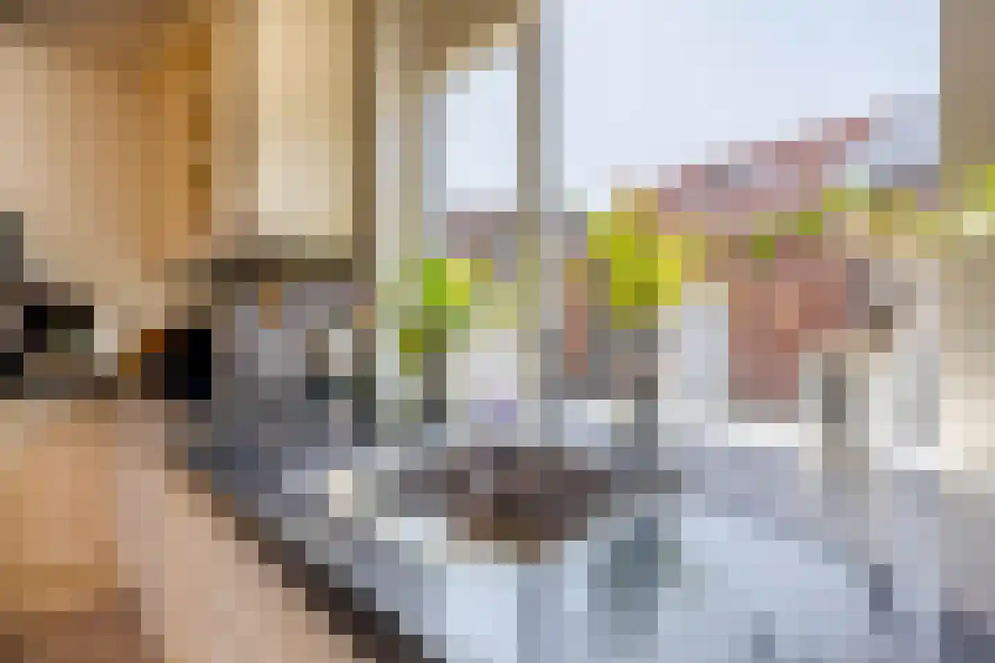 Achterdijk 7 Stad aan 't Haringvliet thumbnail 13