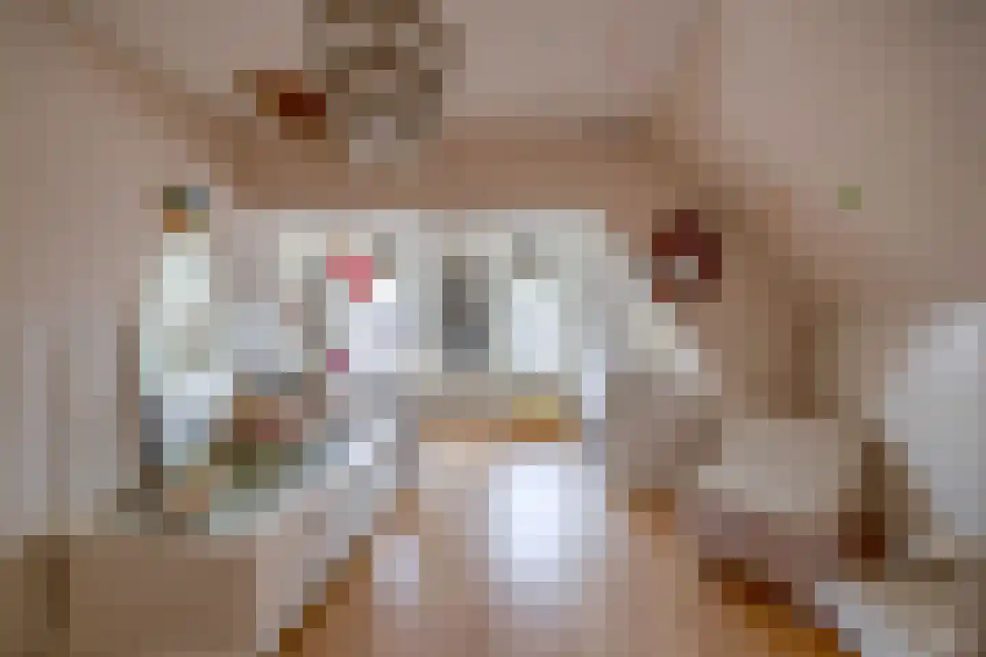 Achterdijk 7 Stad aan 't Haringvliet thumbnail 25