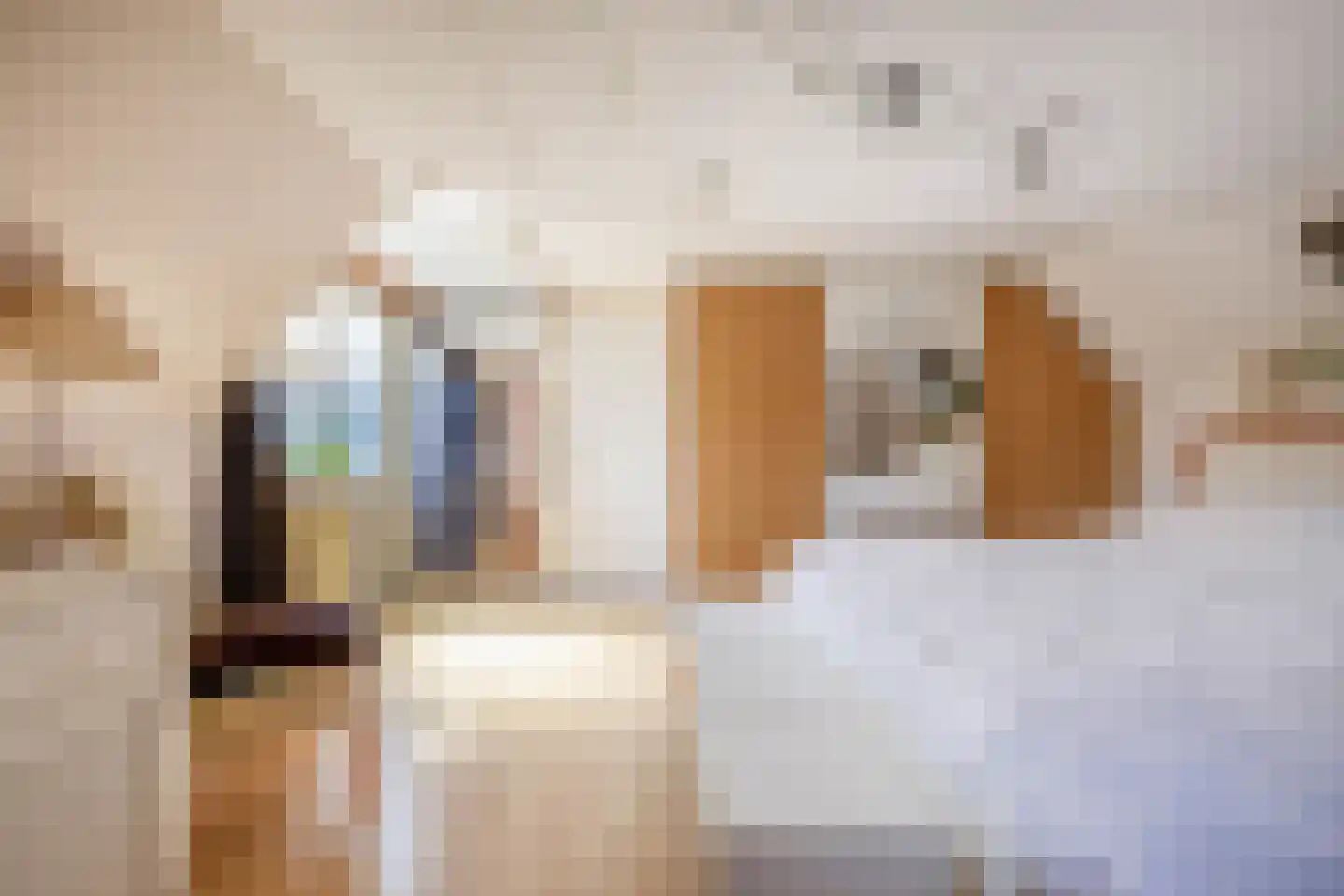 Achterdijk 7 Stad aan 't Haringvliet thumbnail 29