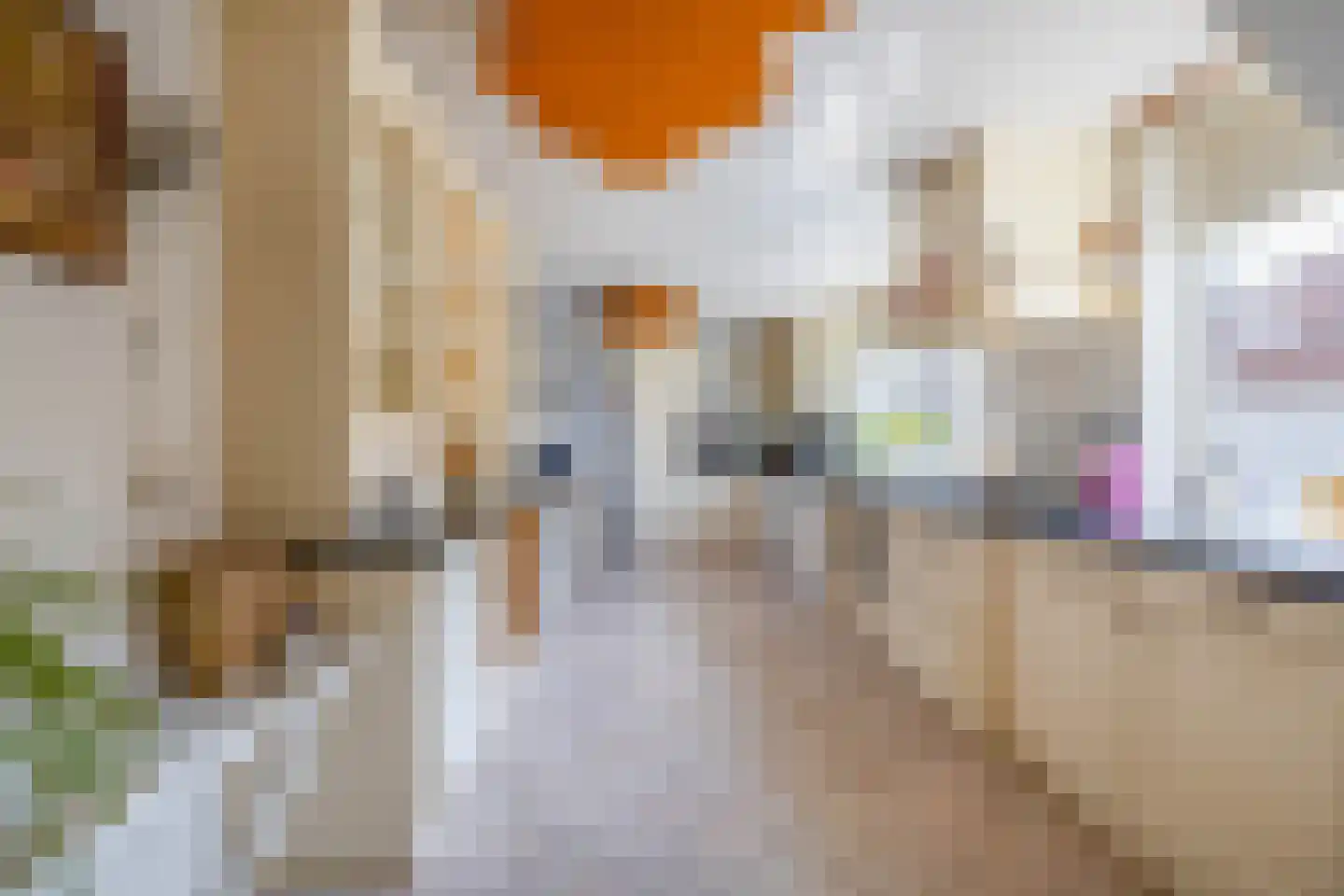 Achterdijk 7 Stad aan 't Haringvliet thumbnail 4