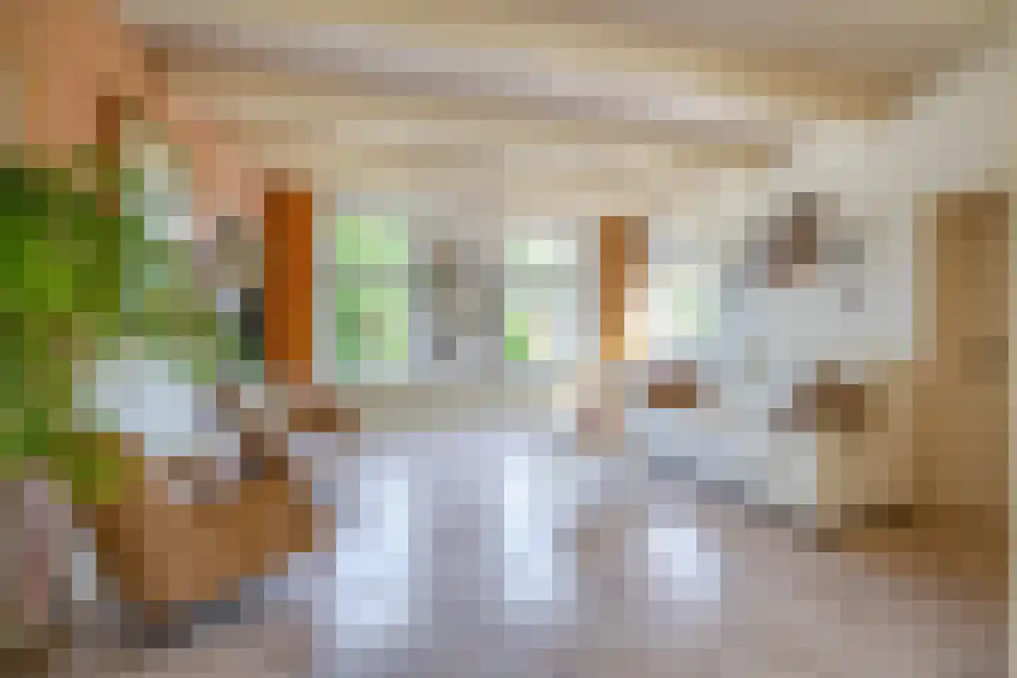 Achterdijk 7 Stad aan 't Haringvliet thumbnail 8