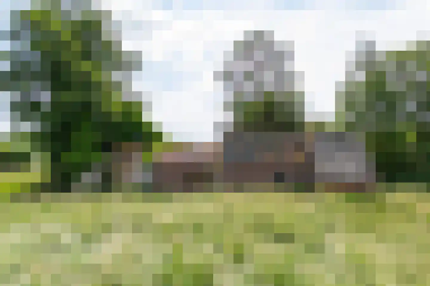 Achterdijk 88 Nieuwland thumbnail 15