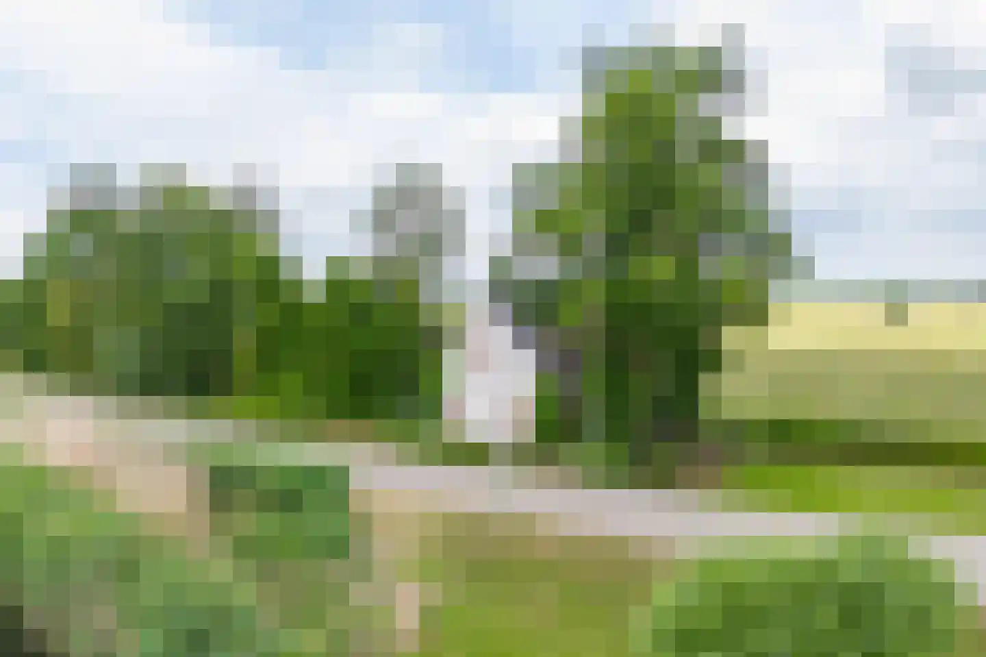 Achterdijk 88 Nieuwland thumbnail 16
