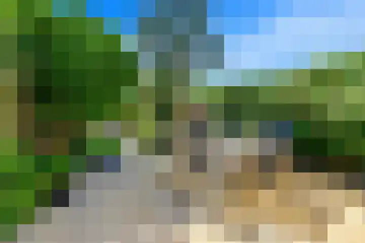 Achterdijkshoorn 44 Den Hoorn thumbnail 12