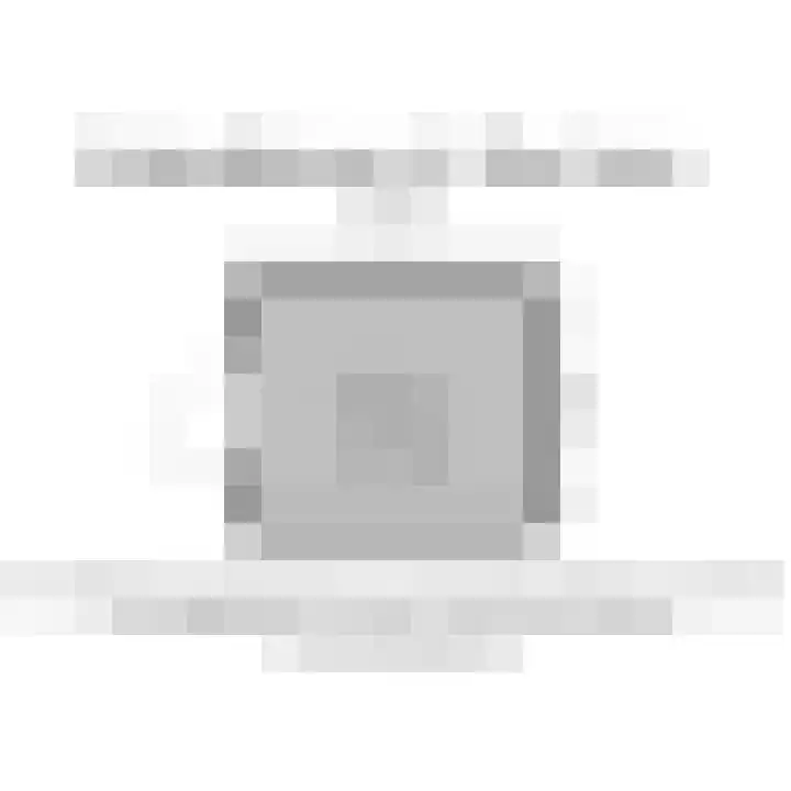 Achterdijkshoorn 44 Den Hoorn thumbnail 16