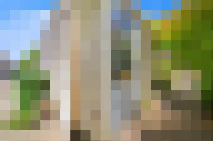 Achterdijkshoorn 44 Den Hoorn thumbnail 17