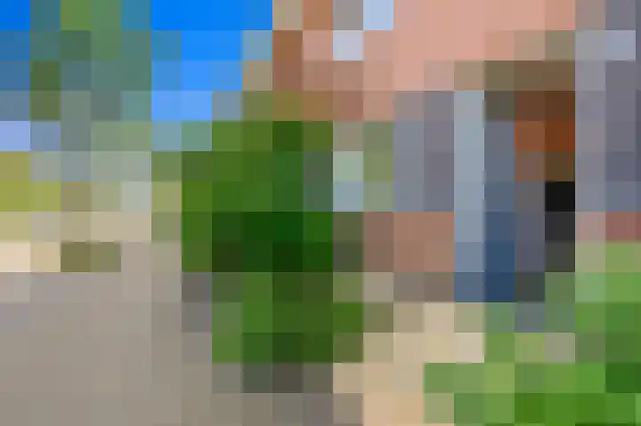 Achterdijkshoorn 44 Den Hoorn thumbnail 4