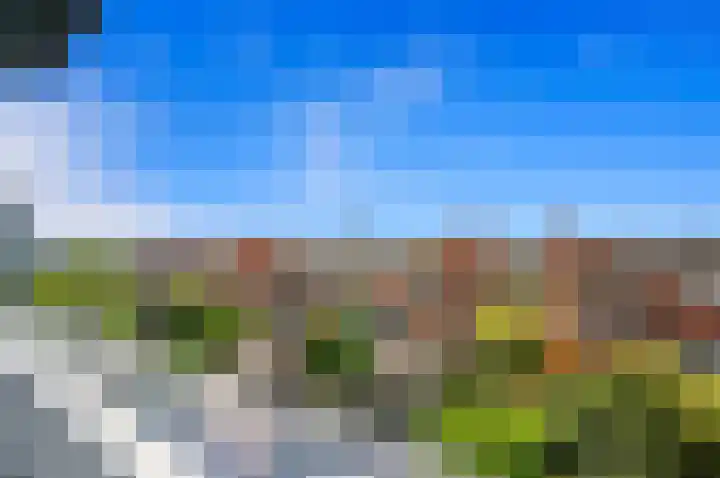 Achterdijkshoorn 44 Den Hoorn thumbnail 47