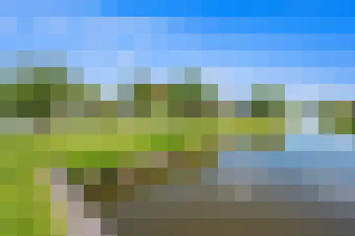 Achterdijkshoorn 44 Den Hoorn thumbnail 50