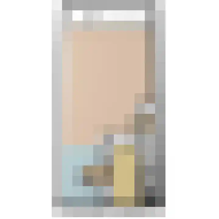 Achterdijkshoorn 44 Den Hoorn thumbnail 6