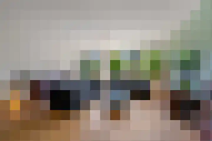 Achterdijkshoorn 44 Den Hoorn thumbnail 9