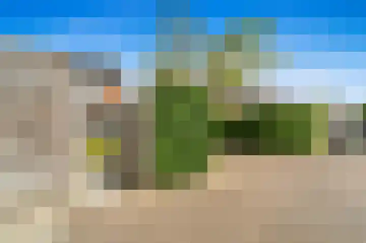 Achterdijkshoorn 54 Den Hoorn thumbnail 25