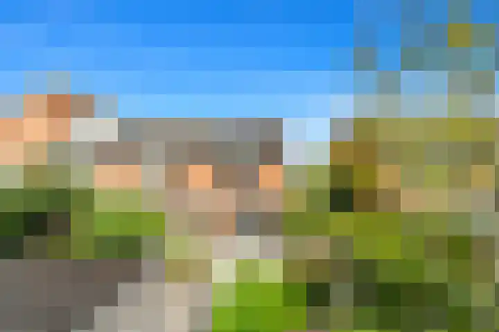 Achterdijkshoorn 54 Den Hoorn thumbnail 27