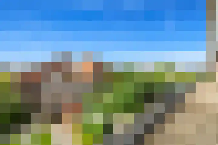 Achterdijkshoorn 54 Den Hoorn thumbnail 34