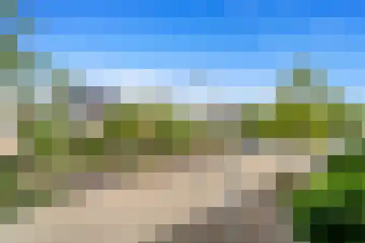 Achterdijkshoorn 54 Den Hoorn thumbnail 37