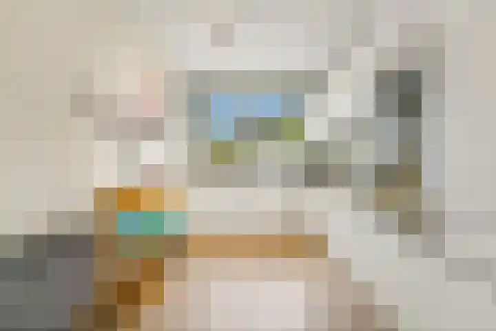 Achterdijkshoorn 54 Den Hoorn thumbnail 4