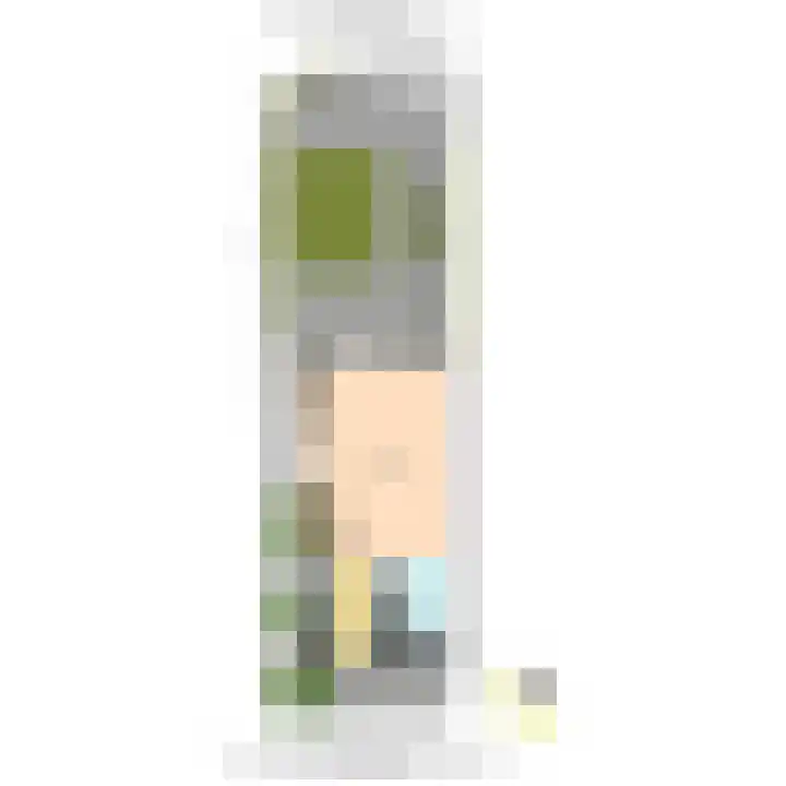 Achterdijkshoorn 54 Den Hoorn thumbnail 47