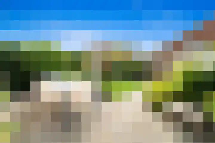 Achterdijkshoorn 54 Den Hoorn thumbnail 5