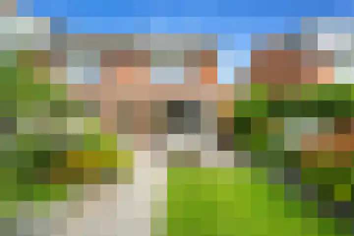 Achterdijkshoorn 54 Den Hoorn thumbnail 7