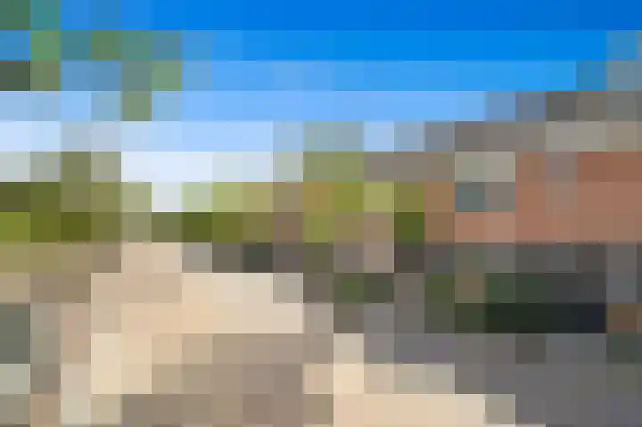 Achterdijkshoorn 54 Den Hoorn thumbnail 8