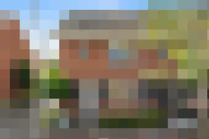 Achterdijkshoorn 54 Den Hoorn thumbnail 9