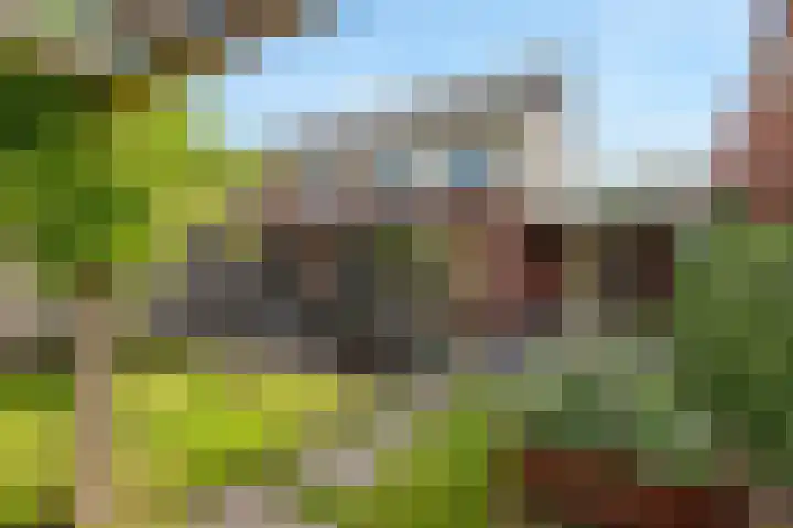 Achterdijkshoorn 62 a Den Hoorn thumbnail 20