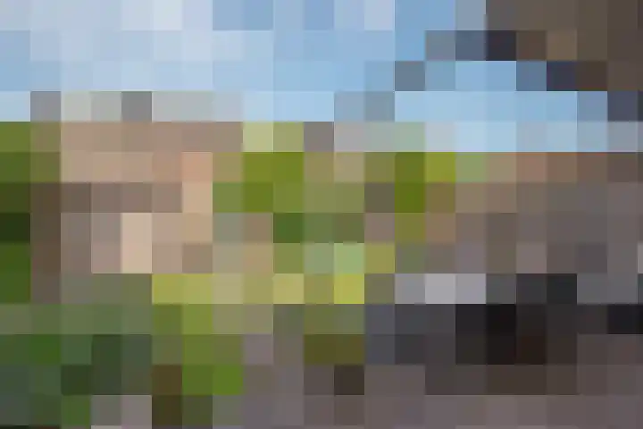 Achterdijkshoorn 62 a Den Hoorn thumbnail 21