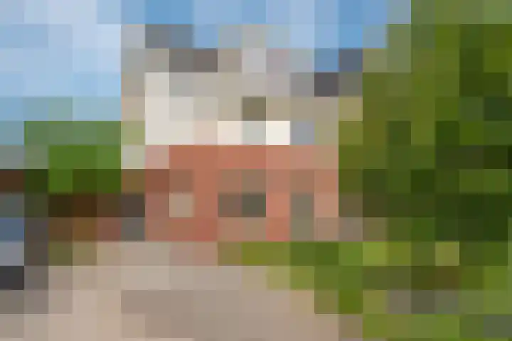 Achterdijkshoorn 62 a Den Hoorn thumbnail 5
